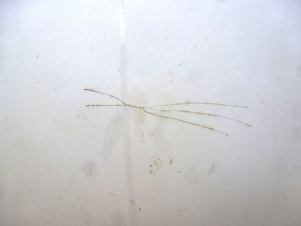 hard spot crack